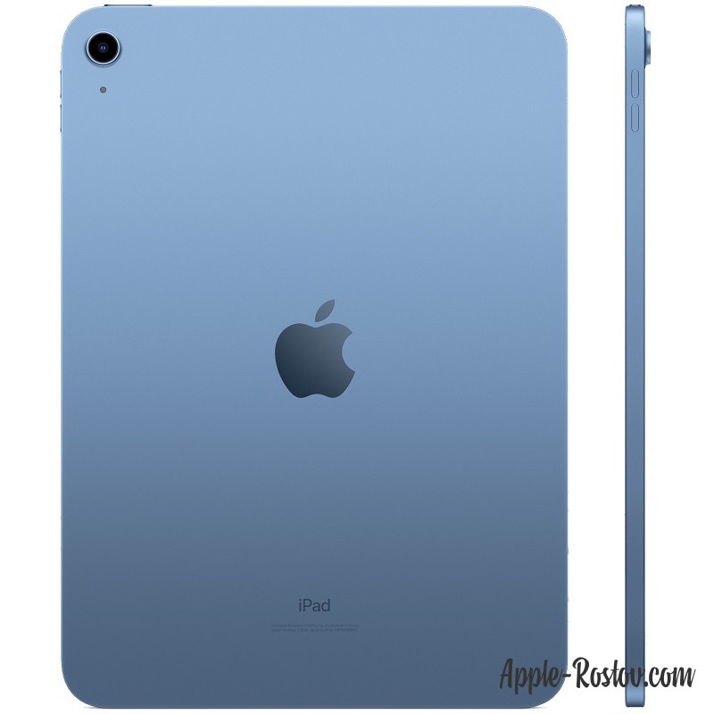 Apple iPad 10ブルー64GBwi-fi 本体 カバー付き Apple iPad (第10世代