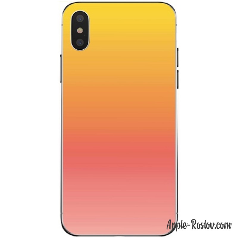 Чехол двухцветный iPhone X / XS 