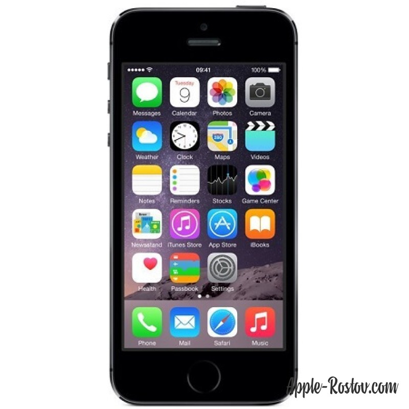 Apple iPhone 5s 16 Gb Space Gray