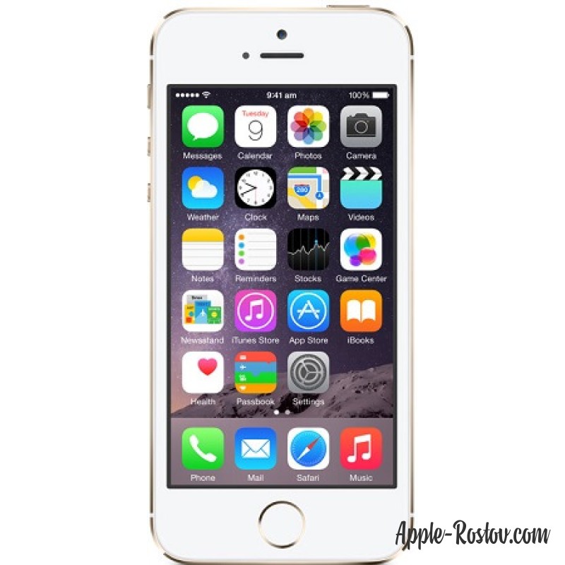 Apple iPhone 5s 64 Gb Gold